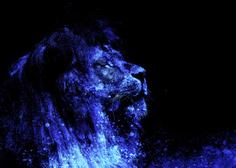 Lion face and graphic effect. Computer collage.