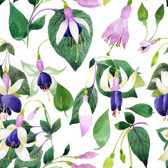 Wildflower fuchsia flower pattern in a watercolor style. Full name of the plant: fuchsia. Aquarelle wild flower for background, texture, wrapper pattern, frame or border.
