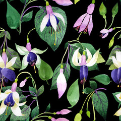 Wildflower fuchsia flower pattern in a watercolor style. Full name of the plant: fuchsia. Aquarelle wild flower for background, texture, wrapper pattern, frame or border.