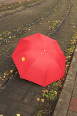 Umbrella on tram rails.