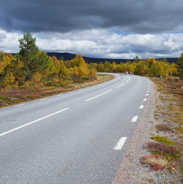 Renar p&aring; v&auml;g
