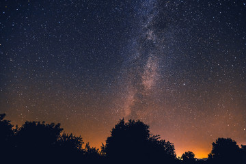 Fototapeta na wymiar The Milky Way and some trees