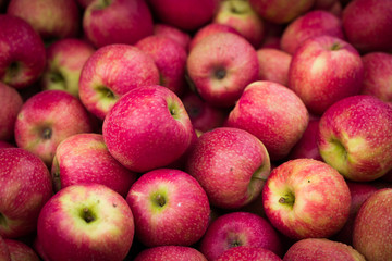 organic apples for sale at farmers market - Powered by Adobe
