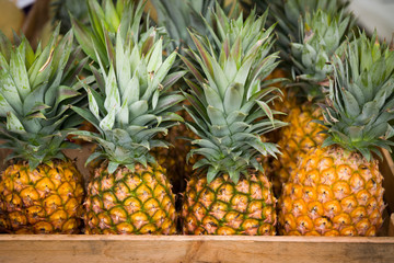 ripe pineapples for sale