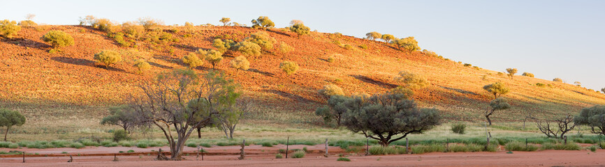 Desert views, Simpson Desert