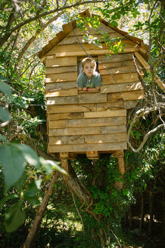 Boy looking through window in tree house
