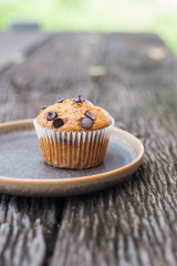 Chocolate chip muffins