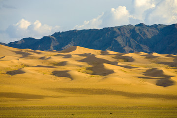 Khongor Els Sand Dune Gobi Desert Mongolia