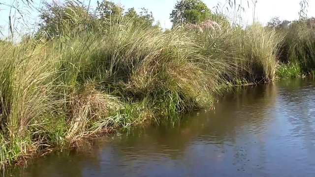 delta of okavango marsh in boswana