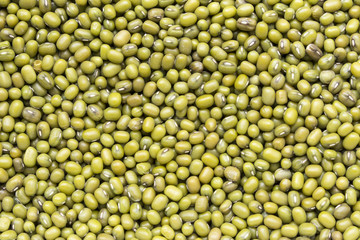 Green beans, mung beans close-up, background