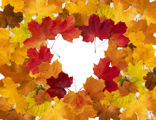 Heart-shaped frame of colorful maple leaves.