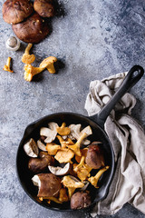 Heap of fresh forest porcini boletus and chanterelles mushrooms in iron cast pan with olive oil and salt, served won textile napkin with knife over gray texture background. Top view with space.