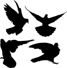 four pigeon black isolated silhouettes