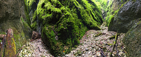 Valea Sighistelului, Muntii Apuseni, Western Mountains, Bihor, Romania