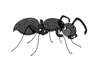 Cartoon Ant Vector