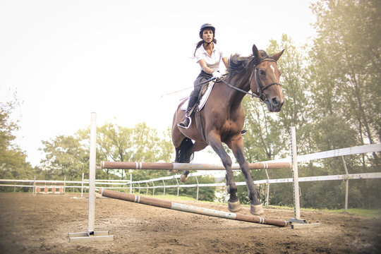 Girl riding a horse and jumping and obstacle