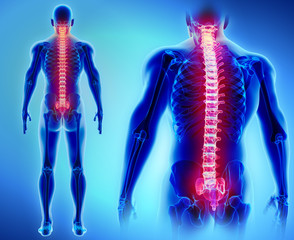 3D illustration of Spine, medical concept.
