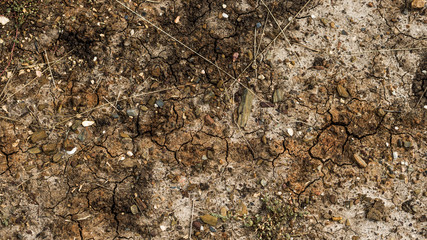 cracked dry earth