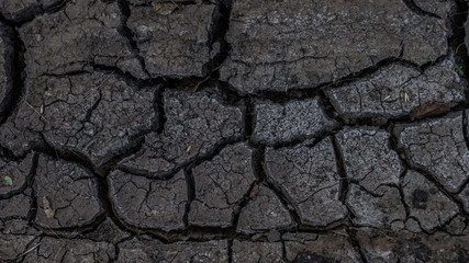 cracked dry earth