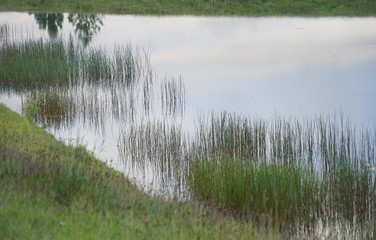 Golden Circle - Landschaft im Süd-Westen Islands