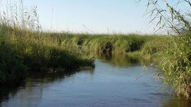 sailing through the channels of the okavango delta in botswana