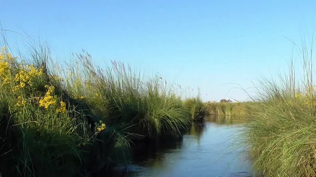 sailing through the channels of the okavango delta in botswana
