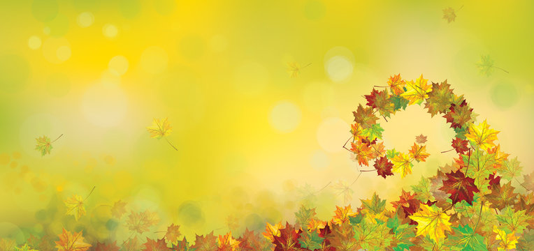 Vector autumnal leaves   background.