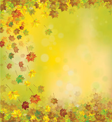 Vector autumnal leaves   background.