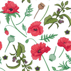 Seamless pattern, background with red opium poppy and belladonna