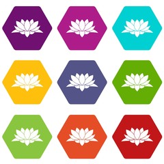 Lotus flower icon set color hexahedron