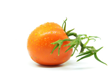 Fresh tomato with water drops