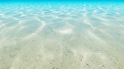 Under blue clear sea. Ocean floor. 3D render.