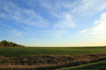 Fototapeta na wymiar landscape agriculture field winter crops