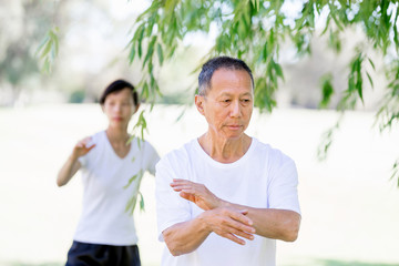 People practicing thai chi in park