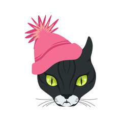 Beautiful black cat head in pink knitted hat, cartoon animal character vector illustration