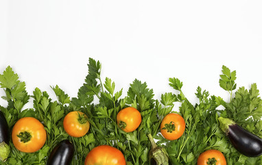 Parsley on a white background, vegetables and greens on a white background, a background of vegetables