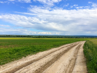 Vanishing dirt road through wheat farm field
