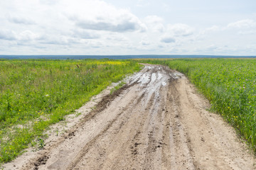 Vanishing dirt road with deep rut and puddles in meadow.
