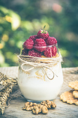 Homemade yogurt with raspberries and cereals. Useful breakfast