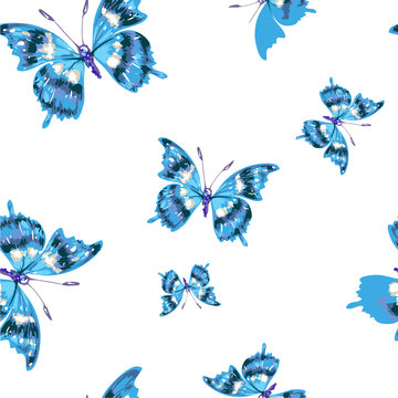 flying blue butterflies on a white background