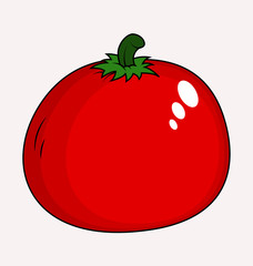 Tomato Vector