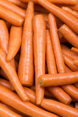 Carrot