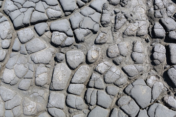 Cracks of the dried soil 