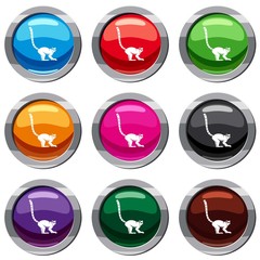 Lemur monkey set 9 collection