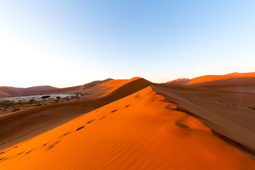Fototapeta na wymiar Desert sand dunes and landscape, Namib, Namibia, Africa