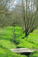 Sumpflandschaft mit Steg, Bretagne, Frankreich