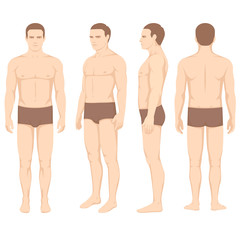 human body anatomy, vector man silhouette, front back side