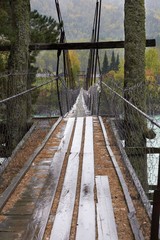 Fototapeta premium Bridge, tree, nature, dreary Street