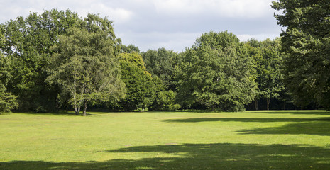 Big trees, green grass, empty landscape