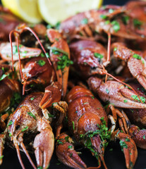 Fine boiled crayfishes
